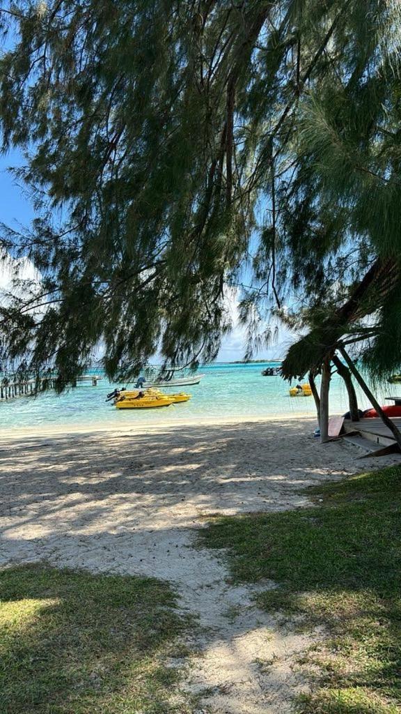 Hauru Beach De Reve De Moorea מראה חיצוני תמונה